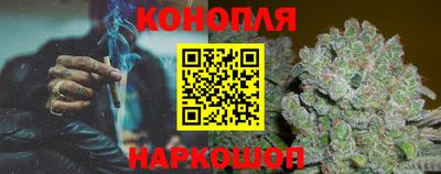 ешки Гай
