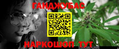 ешки Гай