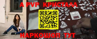 ешки Гай