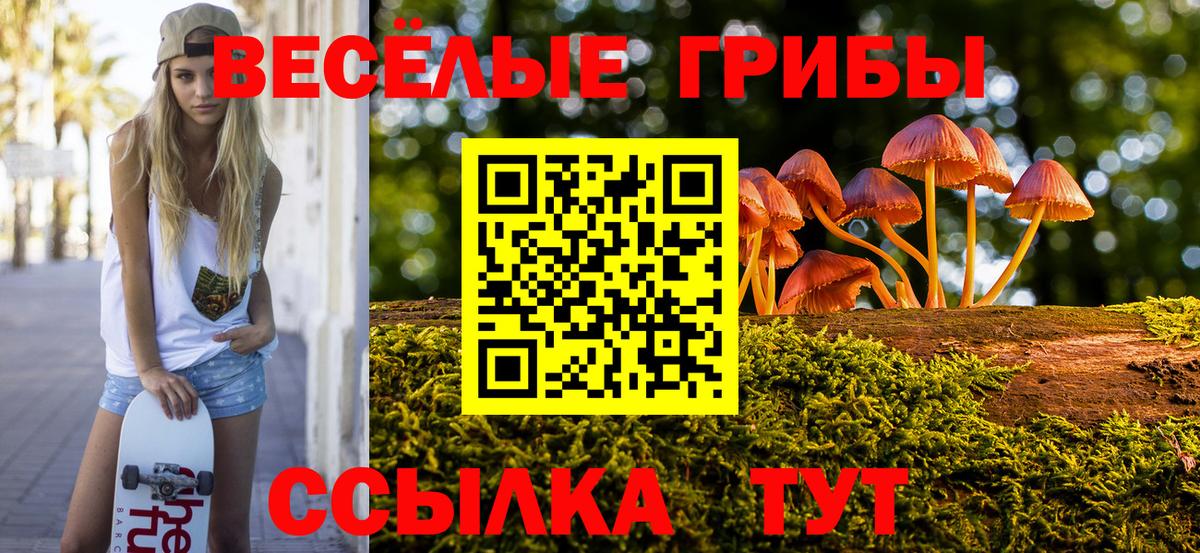 Галлюциногенные грибы прущие грибы  Вход с VPN  Галлюциногенные грибы Cubensis  Орёл 