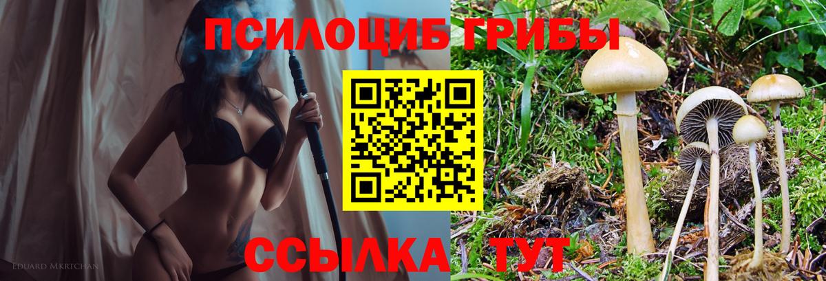 Псилоцибиновые грибы Psilocybine cubensis Орёл